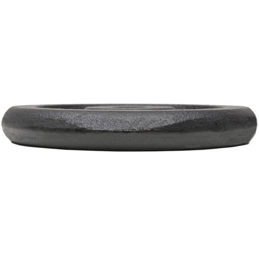 Weight Plates 4 pcs 4x5 kg Cast Iron - Image 2