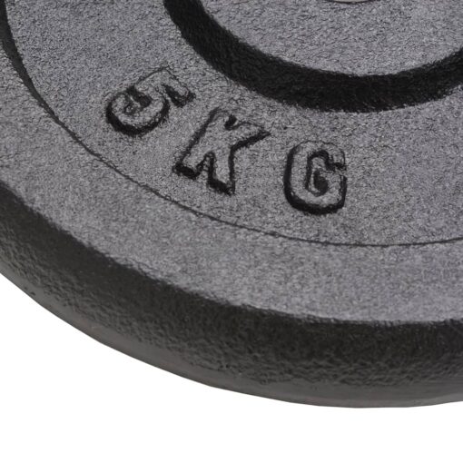 Weight Plates 4 pcs 4x5 kg Cast Iron - Image 3