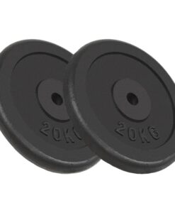 vidaXL Weight Plates 2 pcs 2x20 kg Cast Iron