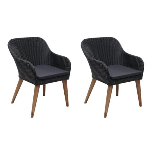 vidaXL Outdoor Chairs with Cushions 2 pcs Poly Rattan Black