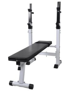 vidaXL Fitness Workout Bench Straight Weight Bench