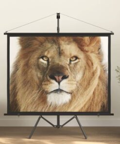 vidaXL Projection Screen with Tripod 60" 4:3