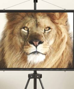 vidaXL Projection Screen 50" 4:3