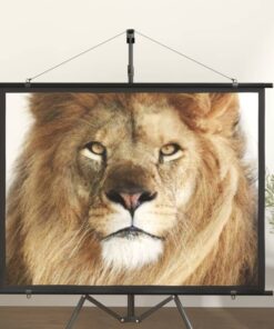 vidaXL Projection Screen 60" 4:3