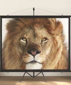 vidaXL Projection Screen 100" 4:3