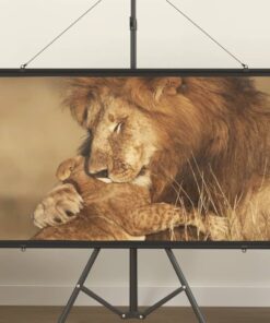 vidaXL Projection Screen 50" 16:9