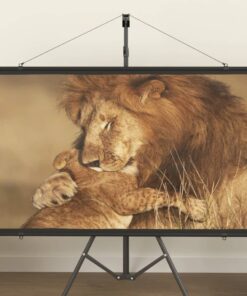 vidaXL Projection Screen 60" 16:9