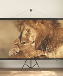 vidaXL Projection Screen 100" 16:9