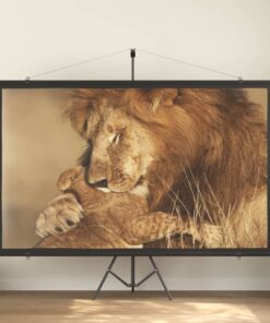 vidaXL Projection Screen 108" 16:9