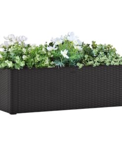 vidaXL Garden Raised Bed with Self Watering System Anthracite 100x43x33 cm